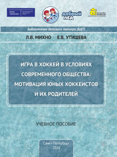 Игра в хоккей в условиях современного общества